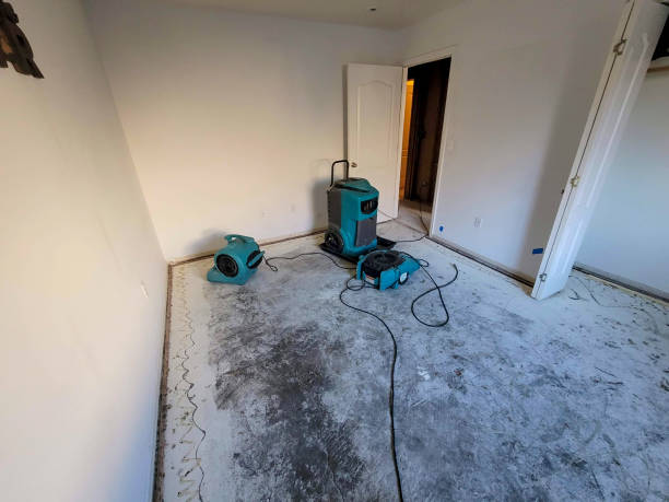 Best Water damage restoration experts  in Aquebogue, NY