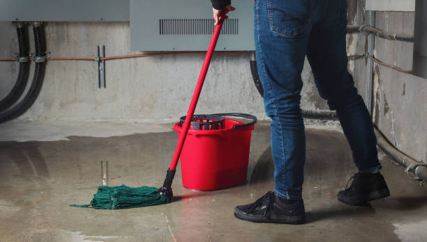 Best Commercial water damage restoration  in Aquebogue, NY