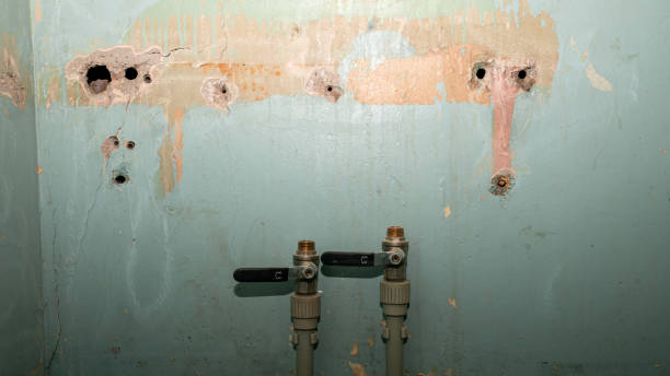 Best Flooded house restoration  in Aquebogue, NY