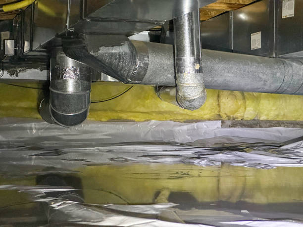 Best Residential water damage restoration  in Aquebogue, NY