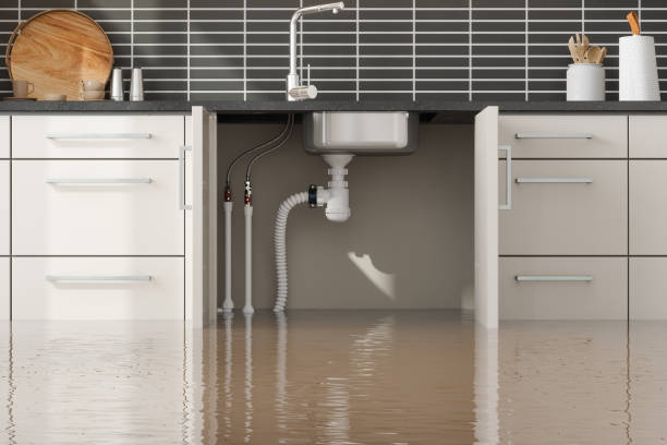 Best Water damage repair service  in Aquebogue, NY