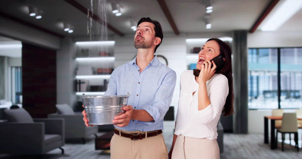 Best Fire Damage Restoration  in Aquebogue, NY