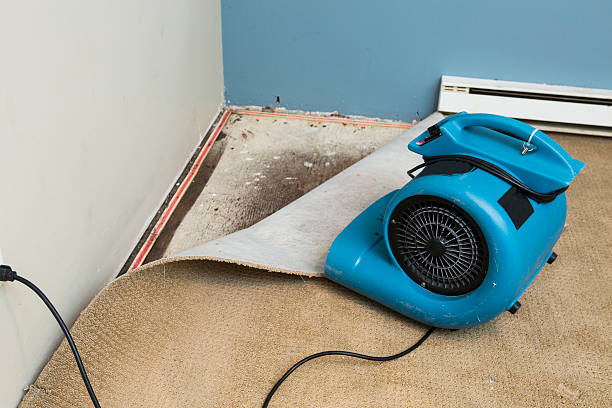 Best Local water damage restoration  in Aquebogue, NY